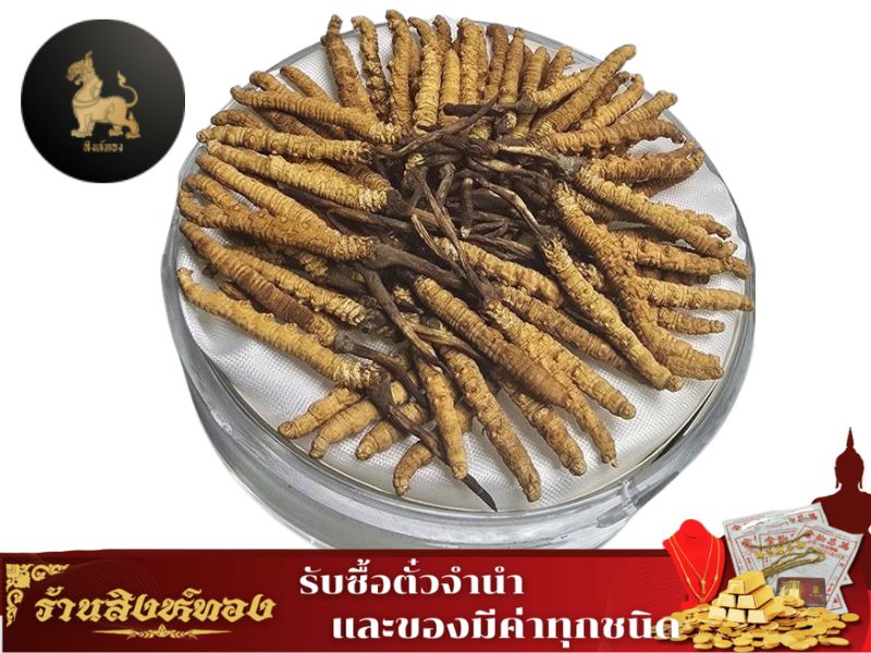 รับซื้ถังเช่า รับซื้ถังเช่า